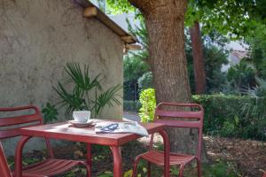 Κήπος έξω από το Les Studios du Parc Bordelais - Le Canelé