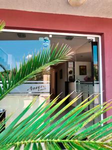 a palm tree in front of a store window at Hotel Ancora Beach in Primorsko