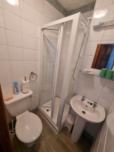 a bathroom with a toilet and a shower and a sink at Rendezvous Bar & Rooms - ADULTS ONLY in Blackpool