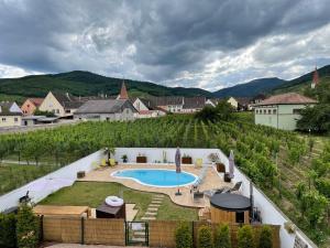 View ng pool sa Alsacebnb - Gîte 12 personnes dans le vignoble - Piscine privée & Spa o sa malapit