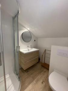 a bathroom with a shower and a sink and a toilet at Apartamenty i Pokoje Atlantic in Jastrzębia Góra