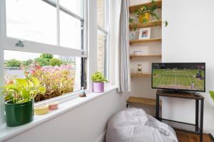 ロンドンにある50 meters to the metroの窓、テレビ、植物が備わる客室です。