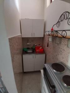 Kuchyň nebo kuchyňský kout v ubytování Zica's apartment