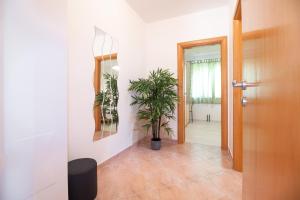 Fotografia z galérie ubytovania Apartments Gracia v destinácii Baška