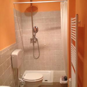 een kleine badkamer met een toilet en een douche bij B&B La Terrazza Sul Borgo in Ortona