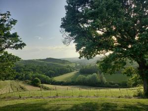 Le Fossatferme de castel pouzouilh的从山丘上树木可欣赏到山谷景色