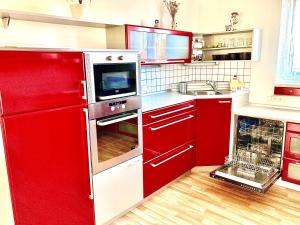 Kuchyň nebo kuchyňský kout v ubytování Apartmány Vojta