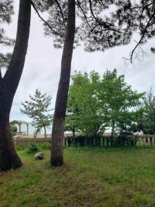 Paesaggio naturale nelle vicinanze dell'affittacamere