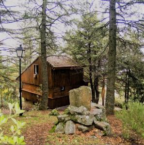 mały drewniany domek w lesie z drzewami w obiekcie Cabañas Navacerrada w mieście Navacerrada