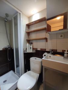 La salle de bains est pourvue de toilettes, d'un lavabo et d'une douche. dans l'établissement Estudio Lorenzo Acogedor, à Madrid