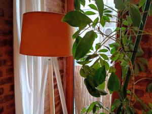 a lamp sitting next to a window next to a plant at Kunterbunt Aparts Istanbul in Istanbul