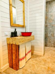 a bathroom with a red sink and a mirror at Organicle Lodge in Sîncrăieni