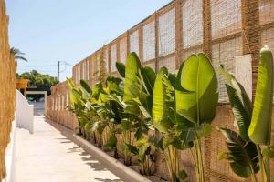Fotografie z fotogalerie ubytování Atma Beach Rooms & Suites v destinaci Faliraki