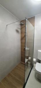 a bathroom with a glass shower with a toilet at Memories apartment in Mostar +47 photos