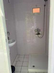 Koupelna v ubytování Vila Noblesa