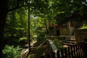 布雷佐維采的住宿－Pine Villas Brezovice，树林中一条带栅栏和楼梯的小径