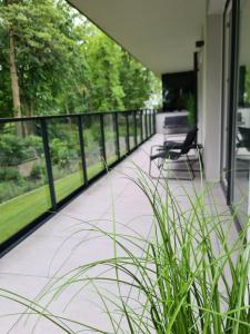Vonkajšia záhrada v ubytovaní Nice River - MAZURIA APARTAMENTY