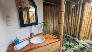 uma casa de banho com um lavatório e um espelho em Finca Flora del Rio, Habitacion Las Orquideas em Pijao