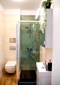 a bathroom with a shower with a toilet and a sink at Baltic Breeze Studio Gdynia -stylowe studio 2-os, blisko morza in Gdynia
