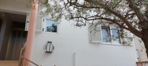 uma casa branca com duas janelas e uma árvore em Olive Tree em Zadar
