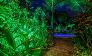Zahrada ubytování Villas Oasis
