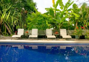 Bazén v ubytování Villas Oasis nebo v jeho okolí
