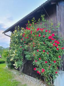 Charmantes Ferienhaus in bester Lage外面的花园