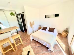 a bedroom with a bed and a table and a tv at Studio avec jacuzzi et piscine in Lorgues