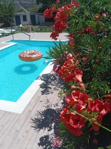 Výhled na bazén z ubytování Τhalassa Home Fine Living nebo okolí