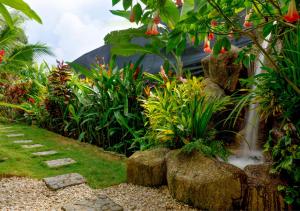 Zahrada ubytování Villas Oasis