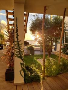 a view of a patio with plants and trees at Tradewinds Apartments Simpson Bay in Simpson Bay