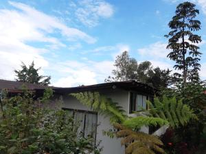 uma casa no meio de um jardim em Posada Rural Casa del Aire em Zetaquira