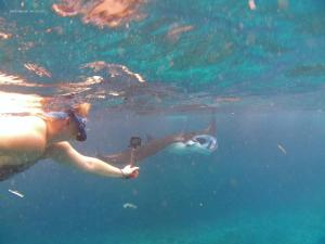 una persona che nuota in acqua con un frisbee di Agung Pring Homestay a Sampalan