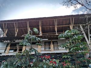 un edificio con techo con plantas delante de él en Posada Rural Casa del Aire en Zetaquira