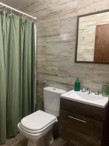 a bathroom with a white toilet and a sink at Loft/Apart Michel Iguazu in Puerto Iguazú