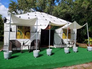 a white tent with a bunch of potted plants in it at MAGICAL MOROCCAN TENT WITH POOL CLOSE TO THE BEACH in Fort Pierce