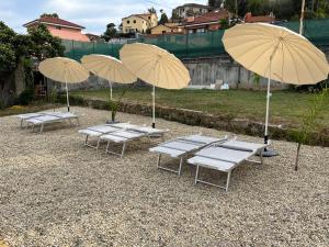 grupa stołów z parasolami na dziedzińcu w obiekcie Il Gattino di Porto - apt 4 - Monolocale terrazzo piscina w mieście Imperia