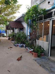 Giardino di Maafushi View
