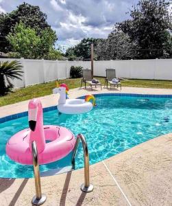 una piscina con un flamenco rosa y un flotador en The Flamingo*4bed*pool*jacuzzi*foosball, en Valrico