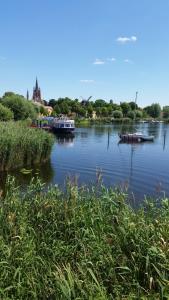 einen Fluss mit Booten im Wasser und Gras in der Unterkunft Inselblüte 2 in Werder