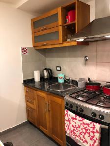uma cozinha com um fogão e um lavatório em Andorra Sur em Ushuaia