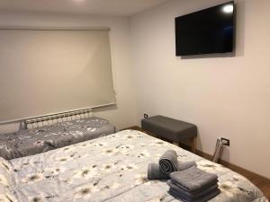 1 dormitorio con 2 camas y TV de pantalla plana en Andorra Sur en Ushuaia