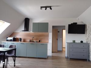 Apartamenty Brzozowe Zacisze的厨房或小厨房