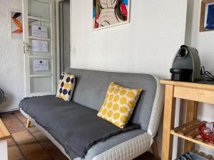un divano grigio con cuscini sopra in una stanza di CHARME VIEUX LILLE Apartment 1 chambre 24H24H Access a Lille
