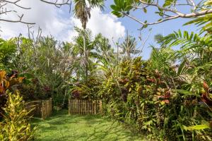 a garden with green plants and a fence at Bali Firefly BnB in Ubud