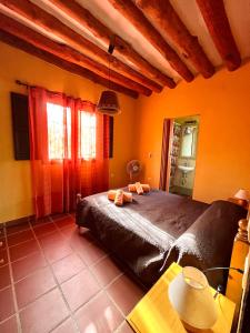 1 dormitorio con 1 cama grande y paredes de color naranja en Secano de Paco, en Órgiva