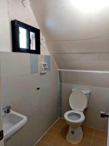 a bathroom with a toilet and a sink at Bogah Lodge in Banaue