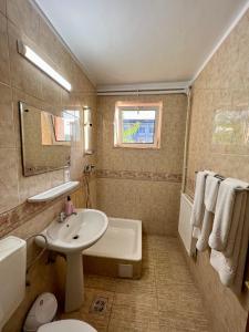 Ванна кімната в Hostel Bistrița