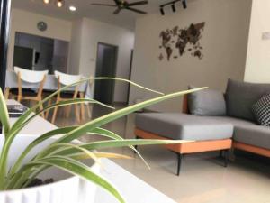 a living room with a couch and a plant at IJM Condo with Pool #Yoyo Homestay in Sandakan
