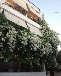 a building with white flowers on the side of it at Captain's Rooms in Egina